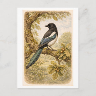 Eksterillustratie in vintage stijl briefkaart