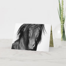 El Caballo Negro Horse Wenskaart Kaart