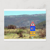 El Camino de Santiago de Compostela, Spanje Briefkaart (Voorkant)