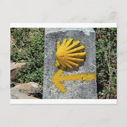 El Camino de Santiago de Compostela, Spanje, schel Briefkaart (Voorkant)