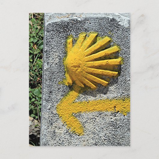 El Camino de Santiago de Compostela, Spanje, schel Briefkaart (Voorkant)