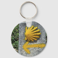 El Camino de Santiago de Compostela, Spanje, schel