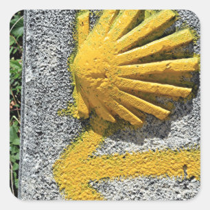 El Camino de Santiago de Compostela, Spanje, schel Vierkante Sticker