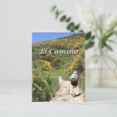 El Camino de Santiago de Compostela, Spanje, spoor Briefkaart (Staand voorkant)