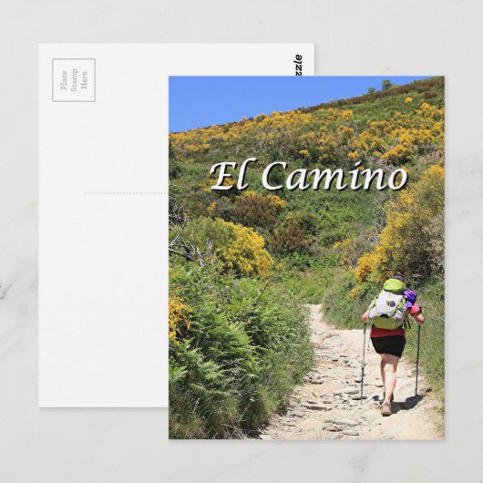 El Camino de Santiago de Compostela, Spanje, spoor Briefkaart (Voorkant / Achterkant)