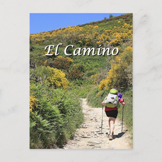 El Camino de Santiago de Compostela, Spanje, spoor Briefkaart (Voorkant)