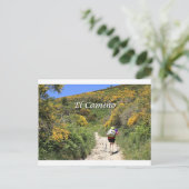 El Camino de Santiago de Compostela, Spanje, spoor Briefkaart (Staand voorkant)