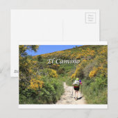 El Camino de Santiago de Compostela, Spanje, spoor Briefkaart (Voorkant / Achterkant)