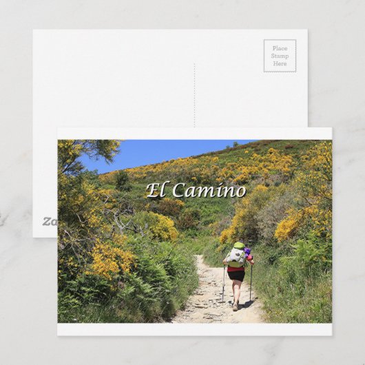 El Camino de Santiago de Compostela, Spanje, spoor Briefkaart (Voorkant / Achterkant)