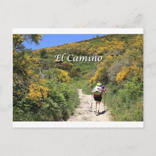 El Camino de Santiago de Compostela, Spanje, spoor Briefkaart