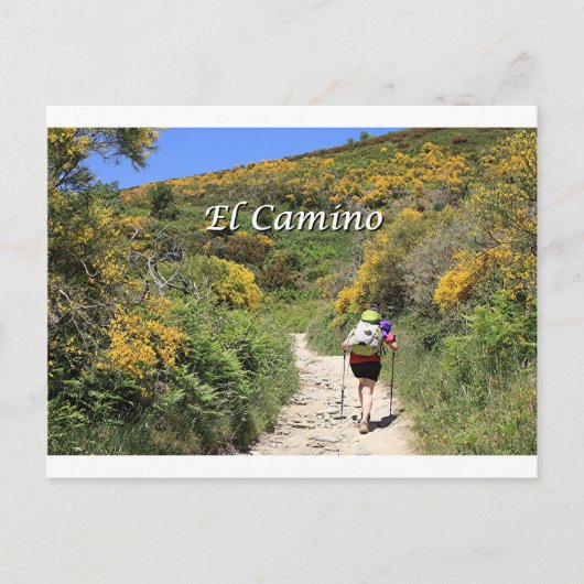 El Camino de Santiago de Compostela, Spanje, spoor Briefkaart (Voorkant)