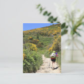 El Camino, Molinaseca tot O'Cebreiro, Spanje Briefkaart (Staand voorkant)
