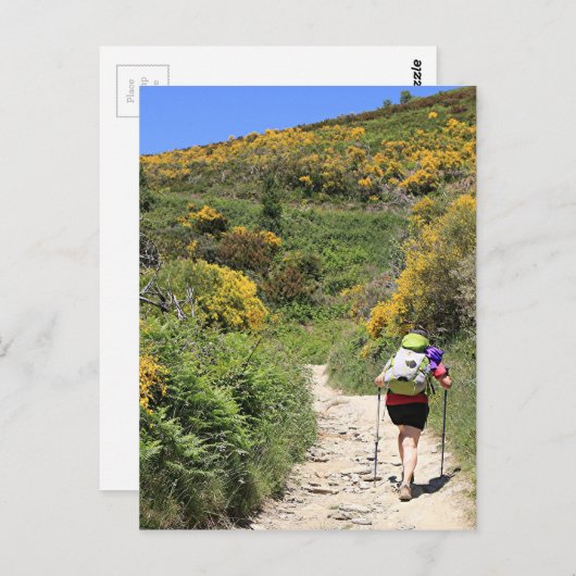 El Camino, Molinaseca tot O'Cebreiro, Spanje Briefkaart (Voorkant / Achterkant)