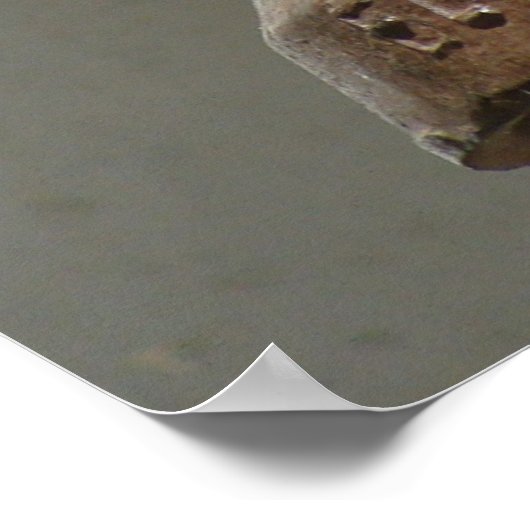 El Camino Real Bell Poster (Hoek)