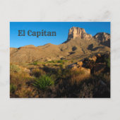 El Capitan Peak, Guadalupe Mountains Nationaal Par Briefkaart (Voorkant)