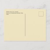 El Capitan, Winter Uitzicht Guadalupe Mountains NP Briefkaart (Achterkant)