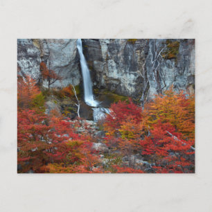 El Chorrillo Waterfall   Patagonië, Argentinië Briefkaart
