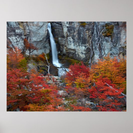 El Chorrillo Waterfall | Patagonië, Argentinië Poster (Voorkant)