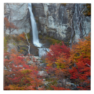 El Chorrillo Waterfall Patagonië, Argentinië Tegeltje