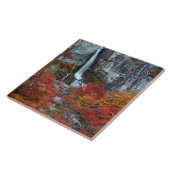 El Chorrillo Waterfall | Patagonië, Argentinië Tegeltje (Zijkant)