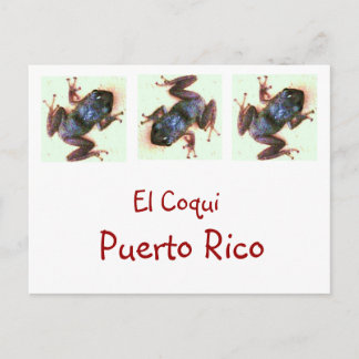 El Coqui Puerto Rico Post Card Briefkaart