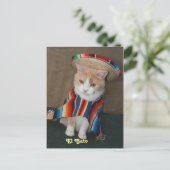 El Gato Bubba Briefkaart (Staand voorkant)