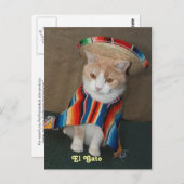 El Gato Bubba Briefkaart (Voorkant / Achterkant)