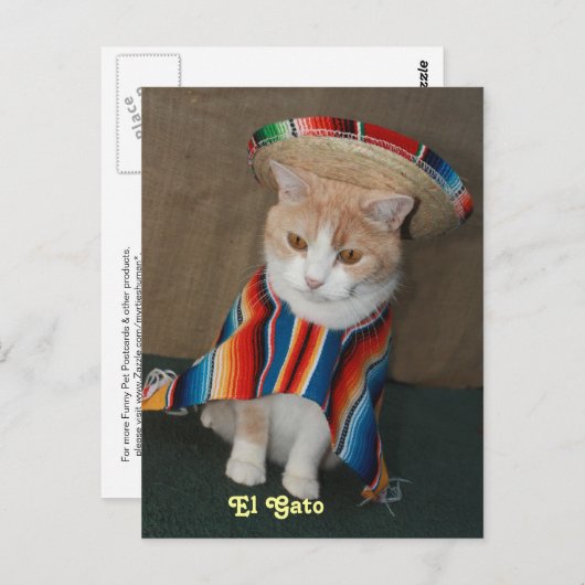 El Gato Bubba Briefkaart (Voorkant / Achterkant)