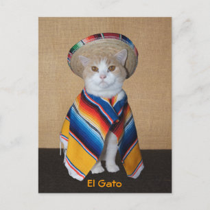 El Gato Cat in Sombrero en Serape Briefkaart