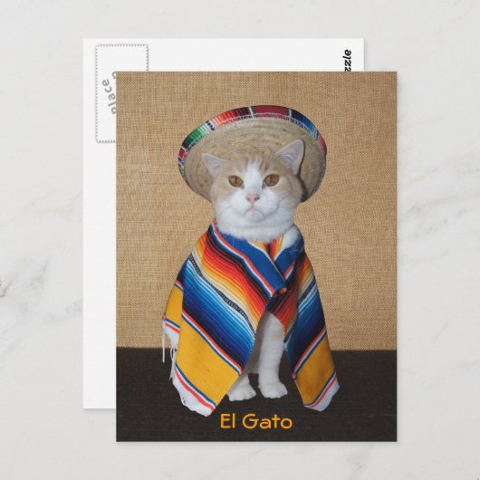 El Gato Cat in Sombrero en Serape Briefkaart (Voorkant / Achterkant)