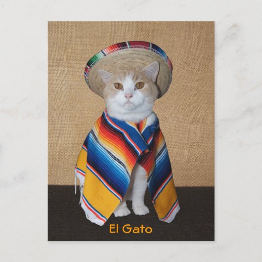 El Gato Cat in Sombrero en Serape Briefkaart (Voorkant)