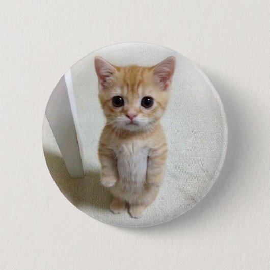 El Gato Cat Meme Pin Button (Voorkant)