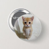 El Gato Cat Meme Pin Button (Voorkant /achterkant)