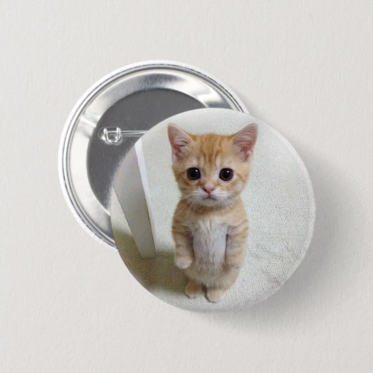 El Gato Cat Meme Pin Button (Voorkant /achterkant)