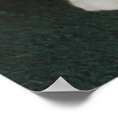 El Gato Poster (Hoek)