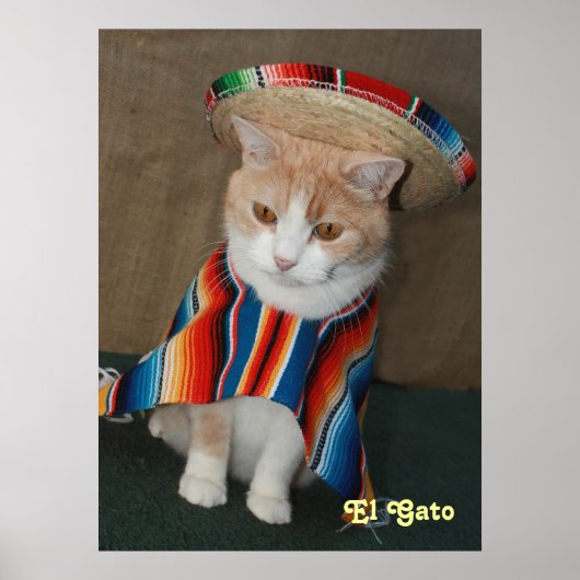 El Gato Poster (Voorkant)