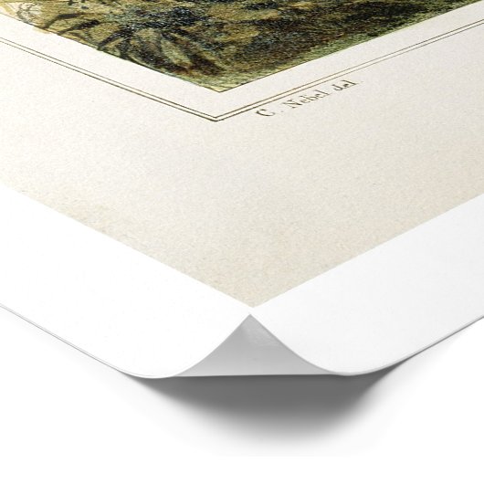 El Hacendero Poster (Hoek)