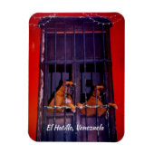 El Hatillo, Venezuela Magneet (Verticaal)