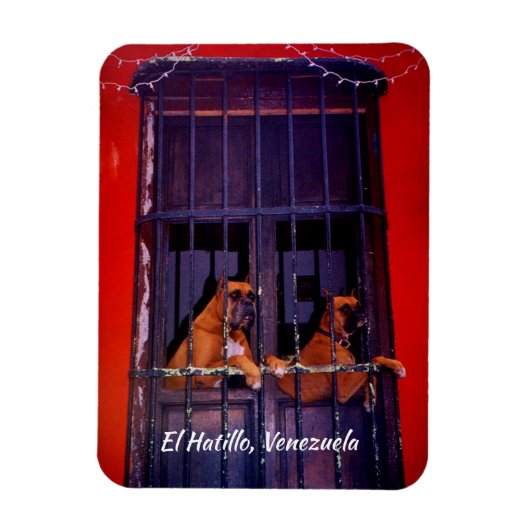 El Hatillo, Venezuela Magneet (Verticaal)