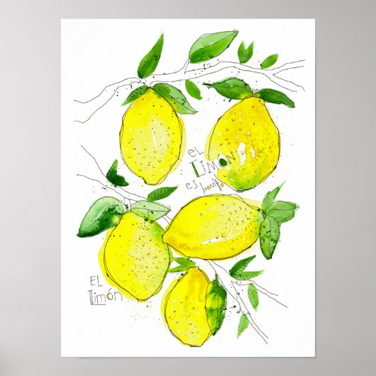 El Limon Poster (Voorkant)