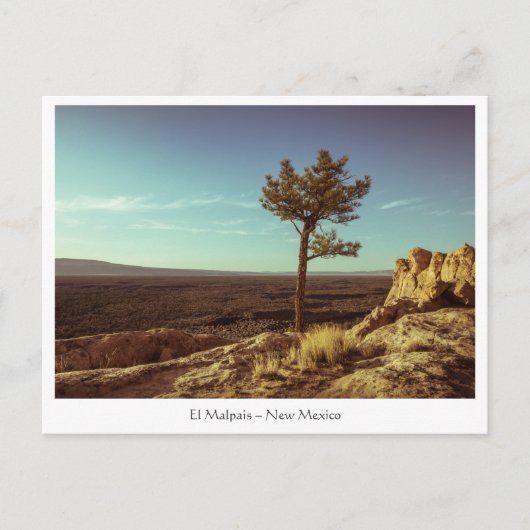 El Malpais National Monument Briefkaart (Voorkant)