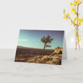 El Malpais, New Mexico Landscape Foto Kaart (Gele Bloem)