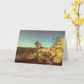 El Malpais, New Mexico Landscape Foto Kaart (Gele Bloem)