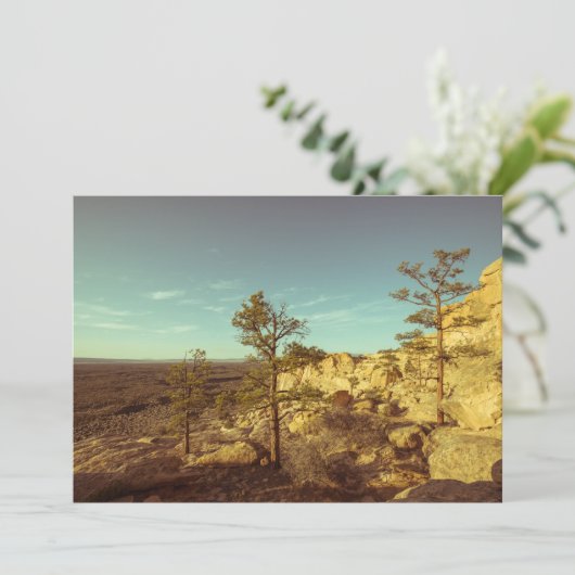 El Malpais, New Mexico Landscape Photo Card Kaart (Staand voorkant)