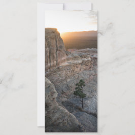 El Malpais Sandstone Bluffs Kaart