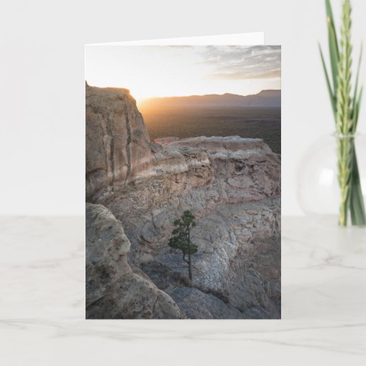 El Malpais Sandstone Bluffs Kaart (Voorkant)