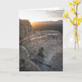 El Malpais Sandstone Bluffs Kaart (Gele Bloem)