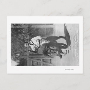 El Monte, CA Gay's Lion Boerderij - Mr Gay die rij Briefkaart