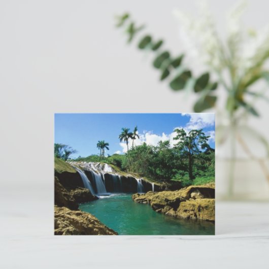 El Nicho Herfsten, Cuba Briefkaart (Staand voorkant)