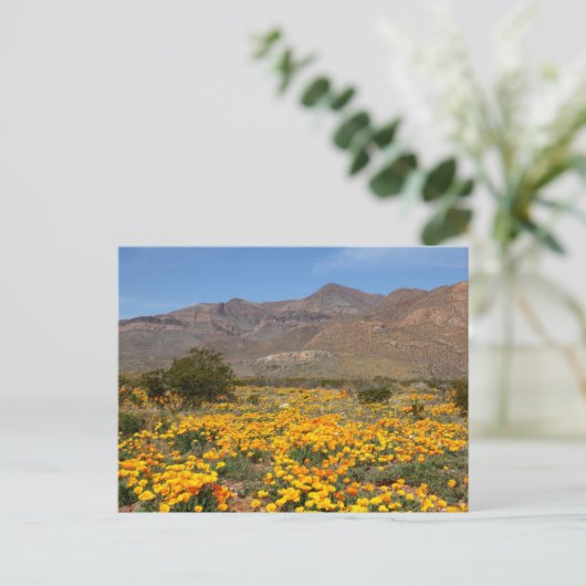 El Paso Poppies Briefkaart (Staand voorkant)